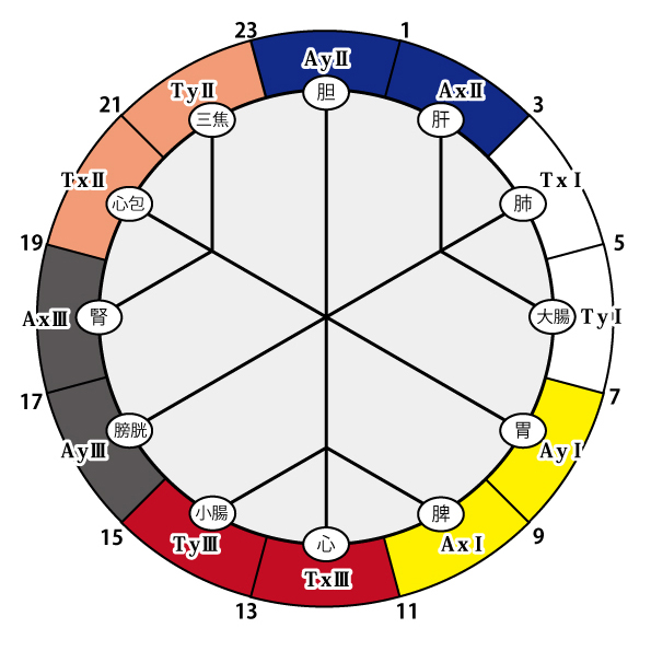 十二経脈6色
