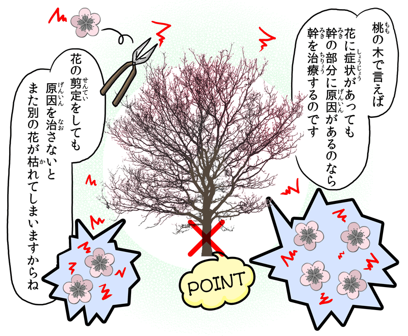 遠絡療法の基礎